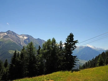 Alpenhaus Nr 33 - Ausblick Südbalkon