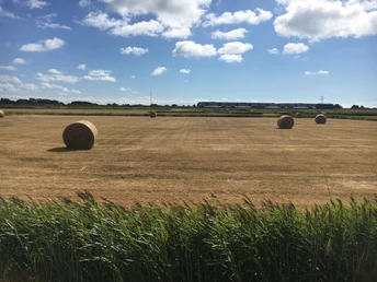 Felder und Bahnstrecke zwischen Morsum und Keitum