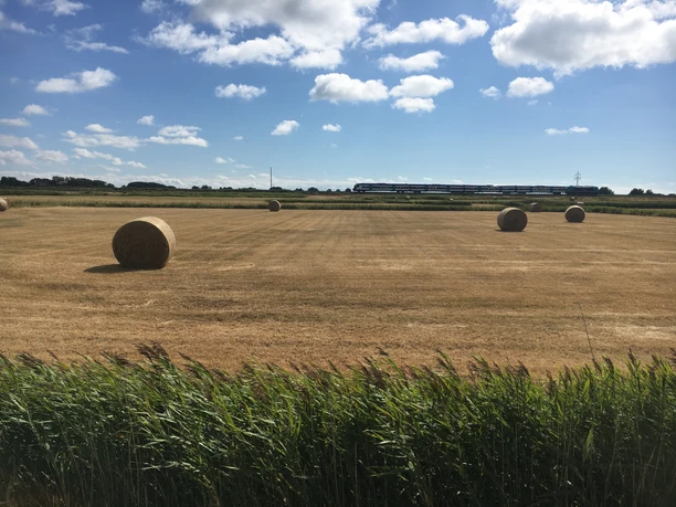 Felder und Bahnstrecke zwischen Morsum und Keitum