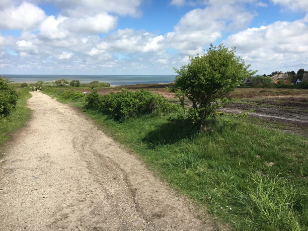 Wanderweg in der Braderuper Heide