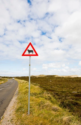 Alte Listlandstraße