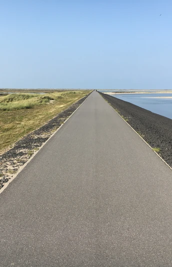 Mövenbergdeich in List