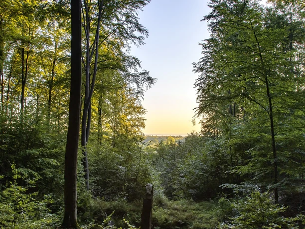 Augustenplatz Ausblick Steinhuder Meer