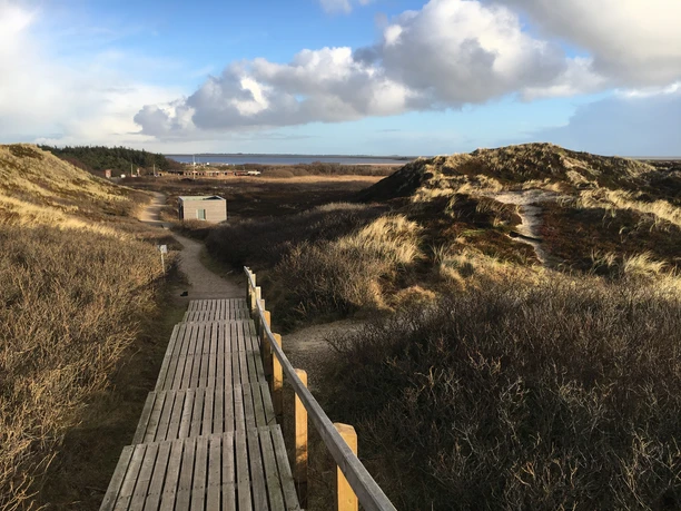 Holzweg zum Rantumer Strand