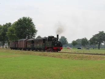 Historische Dampflok zieht mehrere Wagen durch grüne Landschaft bei Bruchhausen-Vilsen.