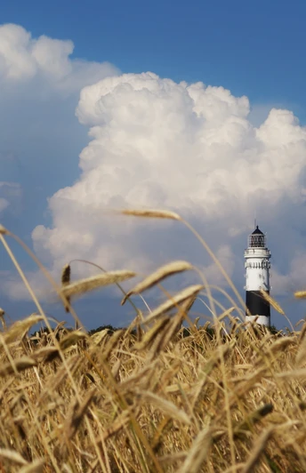 Leuchtturm in Kampen