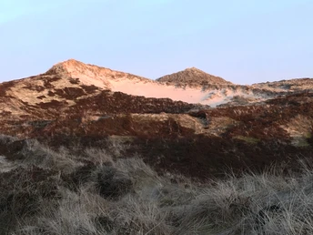 Dünenlandschaft im Westerländer Süden