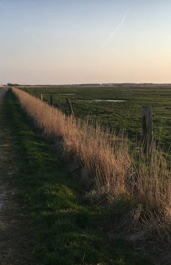 Kiesweg in den Tinnumer Wiesen