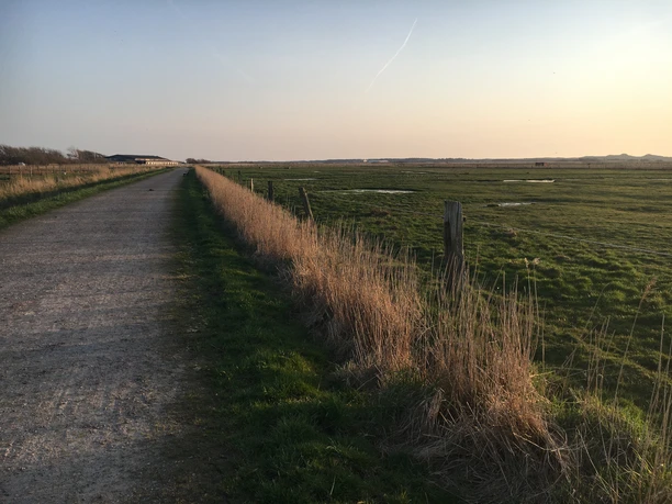 Kiesweg in den Tinnumer Wiesen