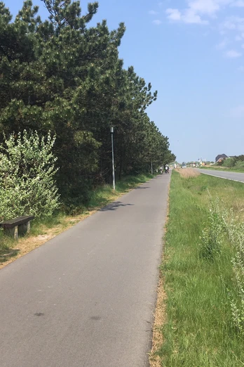 Fahrradweg in Rantum