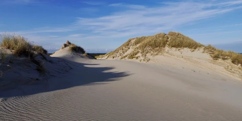 Die Wanderdünen auf Sylt sind in Deutschland einzigartig.