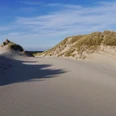 Die Wanderdünen auf Sylt sind in Deutschland einzigartig.