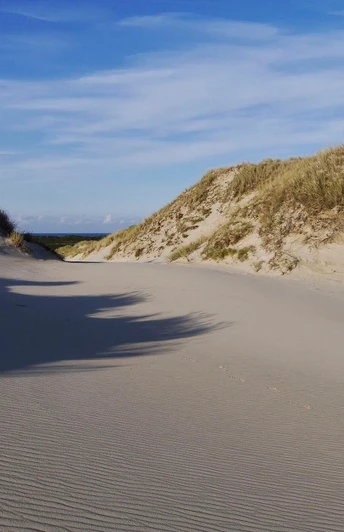Die Wanderdünen auf Sylt sind in Deutschland einzigartig.