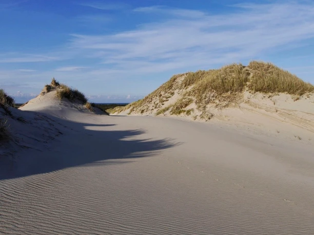 Die Wanderdünen auf Sylt sind in Deutschland einzigartig.
