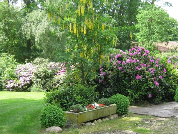 Unser Garten