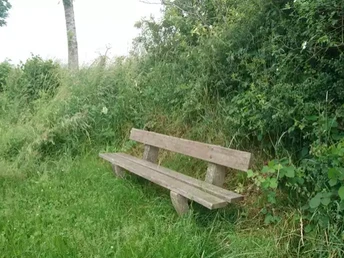 Katja Brückner (2).png