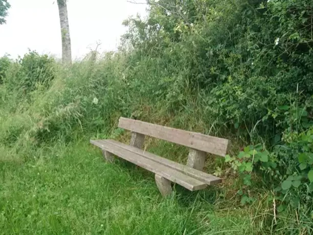 Katja Brückner (2).png