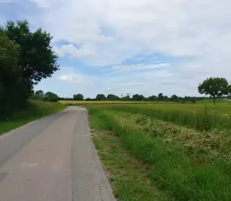 Katja Brückner (4).png