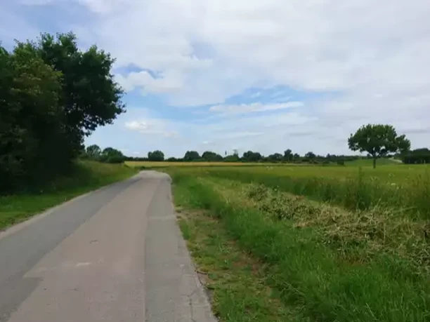 Katja Brückner (4).png