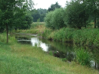 Die Ems Ein ruhiger, gewundener Fluss durchfließt eine grüne, von Bäumen umsäumte Landschaft.