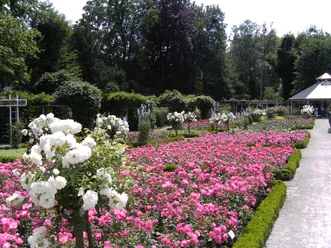 Rosengarten Rheda vor der Neugestaltung PICT0473.JPG