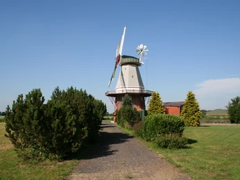 Historische Windmühle mit grünem Dach und weißen Flügeln, umgeben von Bäumen und klarem Himmel.