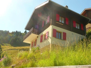 Aussenansicht Sommer