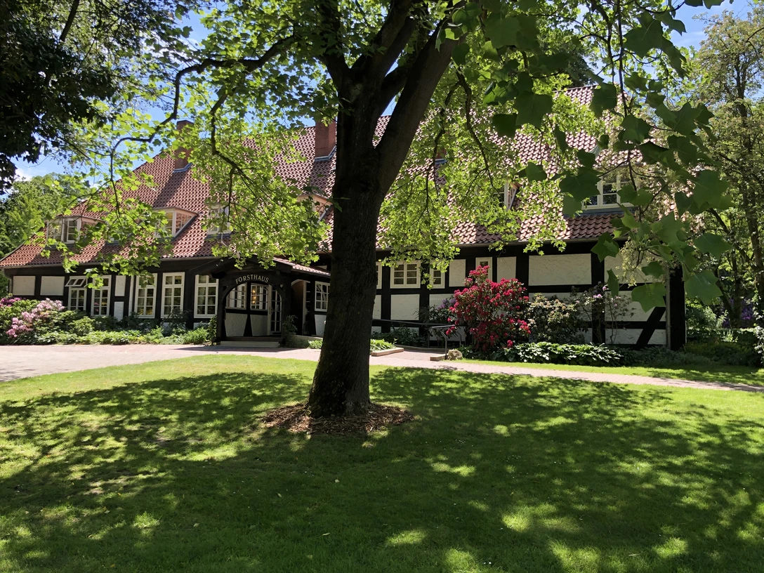 Ein Fachwerkhaus umgeben von üppigem, grünem Rasen, ein großer Baum bietet Schatten im Vordergrund.