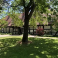 Forsthaus Heiligenberg Bruchhausen-Vilsen Ein Fachwerkhaus umgeben von üppigem, grünem Rasen, ein großer Baum bietet Schatten im Vordergrund.