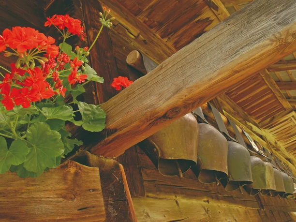 Geraniums and cowbells