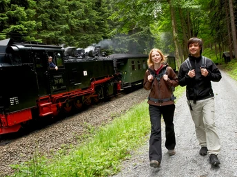 Fichtelbergbahn am Kammweg