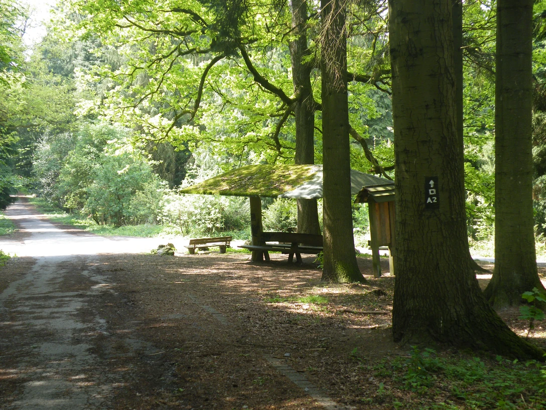 Arboretum Burgholz Arboretum Burgholz