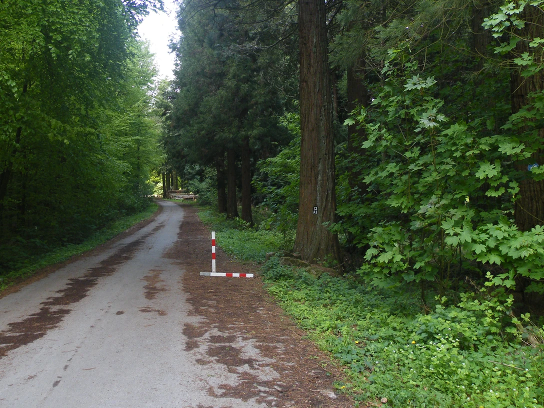 Arboretum Burgholz Arboretum Burgholz