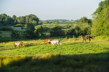 landschaft-4659-Henrik_Matzen.jpg