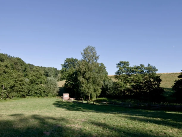 Metbrunnen in Schmechten Geräumige Lichtung vor einem kleinen, umgeben von dichten Wäldern und sanften Hügeln.