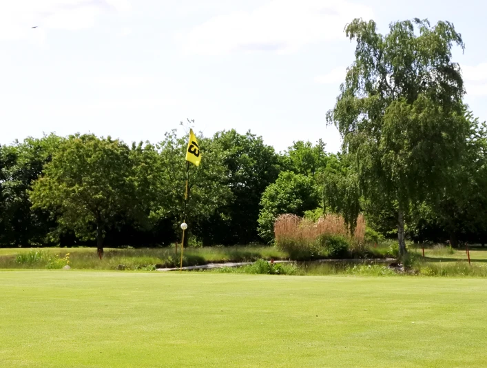Green des Golfclub--Königshof-Sittensen-ccbysa.jpg Green des Golfclubs Königshof in SittensenGreen of the Königshof Golf Club in SittensenGreen på Königshof Golf Club i SittensenGreen van de Königshof Golf Club in Sittensen