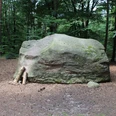 Großer Findling umgeben von dichtem Wald auf einer Lichtung, mit einigen Holzstützen an der Seite.