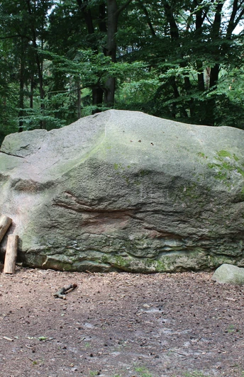 Großer Findling umgeben von dichtem Wald auf einer Lichtung, mit einigen Holzstützen an der Seite.