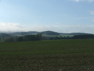 Blick von der Egge Weite grüne Felder erstrecken sich vor sanften Hügeln unter einem leicht bewölkten Himmel.