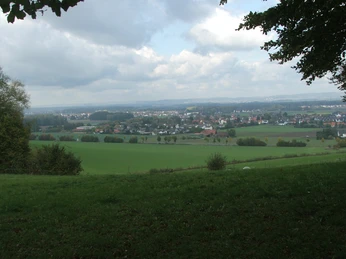 Blick nach Billinghausen Landschaftspanorama von Billinghausen mit weitläufigen Wiesen und dichter Bebauung im Hintergrund.