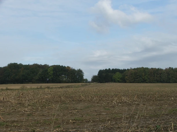 Blick auf die Egge Blick auf abgeerntetes Feld mit angrenzendem Wald unter einem teils bewölkten, blauen Himmel.