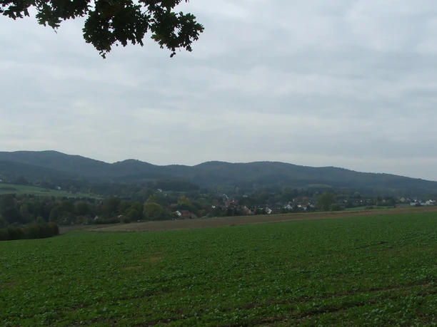 Blick uaf Hörste Hügelige Landschaft mit Blick auf das Dorf Hörste, umgeben von bewaldeten Erhebungen und Feldern.
