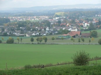 Blick nach Billinghausen Grüne Felder mit Blick auf die Stadt Billinghausen, umgeben von Häusern und umliegenden Wäldern.