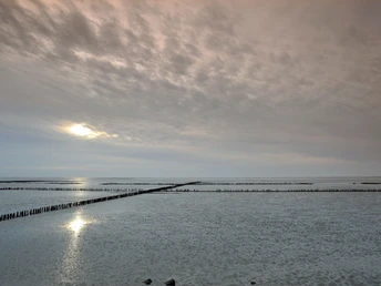 Vom Watt zur Stadt Vom Watt zur Stadt