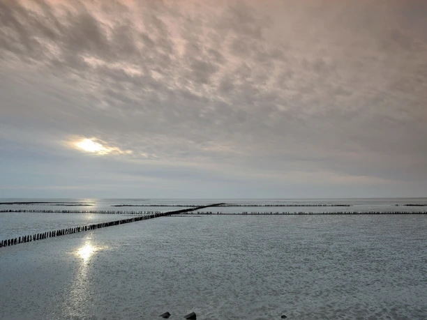 Vom Watt zur Stadt Vom Watt zur Stadt