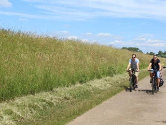 Radfahrer in der Natur Zwei Radfahrer auf einem asphaltierten Weg, umgeben von hohen Gräsern unter blauem Himmel.