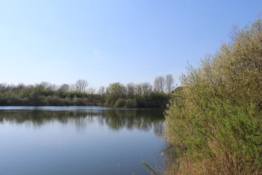 Calm bathing lake surrounded by trees, clear reflections in the water and a bright blue sky.