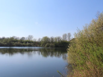 Ruhiger Badesee umgeben von Bäumen, klare Spiegelung im Wasser und ein strahlend blauer Himmel.