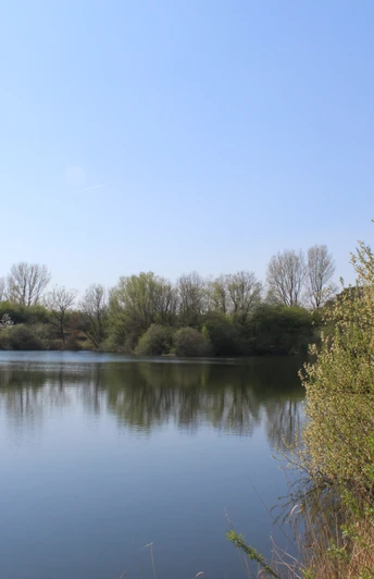 Calm bathing lake surrounded by trees, clear reflections in the water and a bright blue sky.