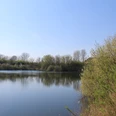 Badesee "Die Rolle" Calm bathing lake surrounded by trees, clear reflections in the water and a bright blue sky.